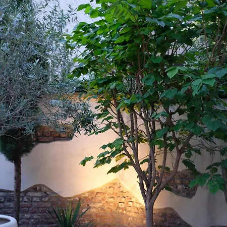 Luxury Loft With Garden, Centre Düsseldorf